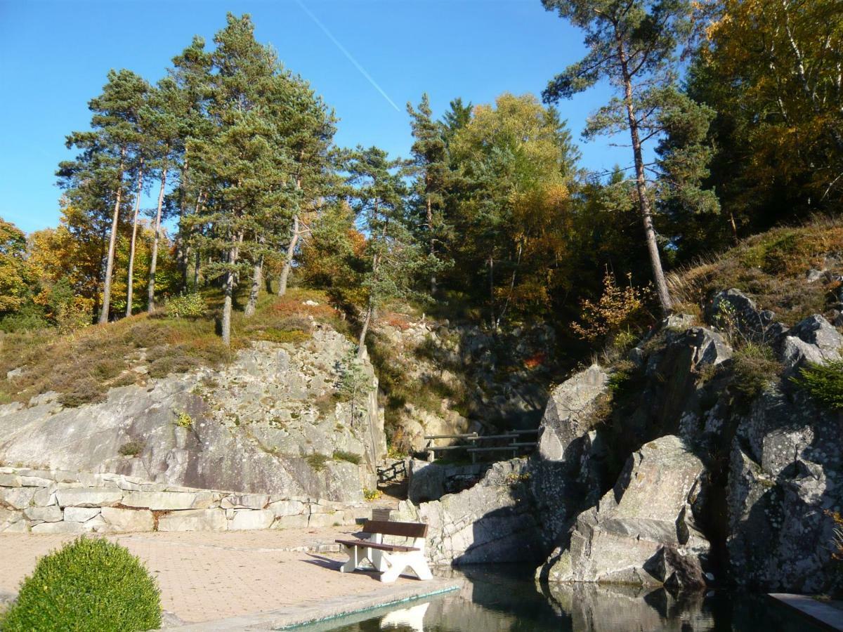 Chalet Luxe 12 Personnes Spa Sauna Vosges-Gerardmer Le Tholy Exterior foto