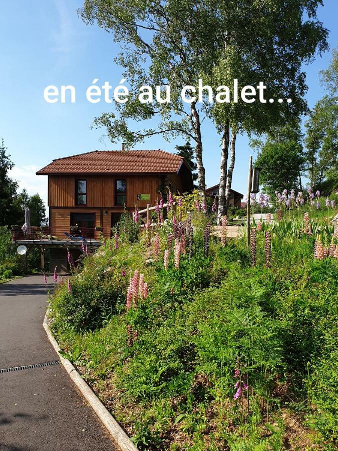 Chalet Luxe 12 Personnes Spa Sauna Vosges-Gerardmer Le Tholy Exterior foto